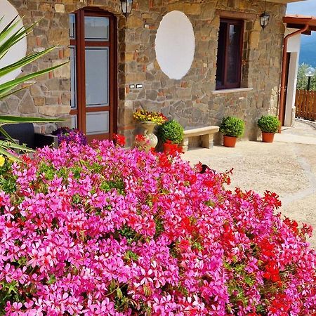 Altavilla Silentina Pietra Del Colle Agriturismo المظهر الخارجي الصورة